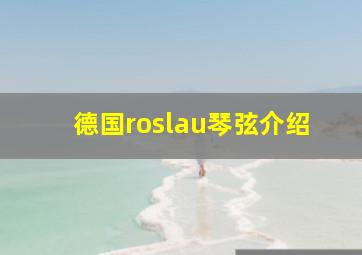 德国roslau琴弦介绍