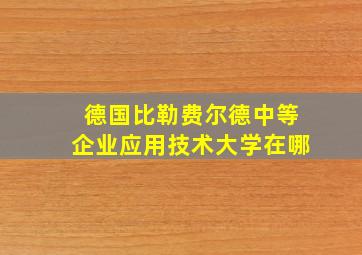 德国比勒费尔德中等企业应用技术大学在哪