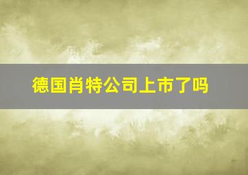 德国肖特公司上市了吗