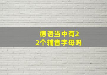 德语当中有22个辅音字母吗