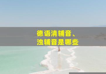 德语清辅音、浊辅音是哪些