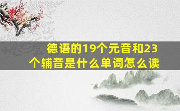 德语的19个元音和23个辅音是什么单词怎么读