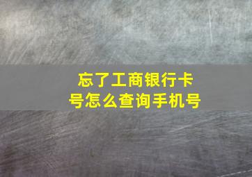 忘了工商银行卡号怎么查询手机号