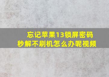 忘记苹果13锁屏密码秒解不刷机怎么办呢视频