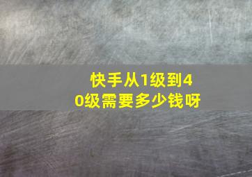 快手从1级到40级需要多少钱呀