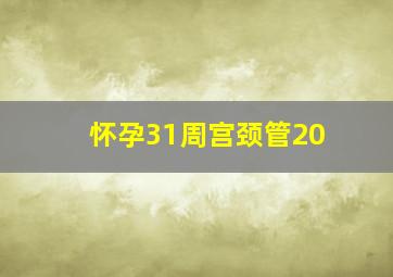 怀孕31周宫颈管20