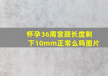 怀孕36周宫颈长度剩下10mm正常么吗图片