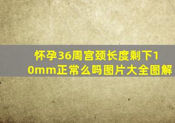 怀孕36周宫颈长度剩下10mm正常么吗图片大全图解