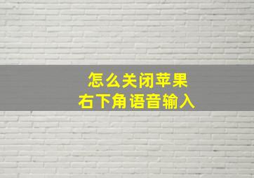 怎么关闭苹果右下角语音输入