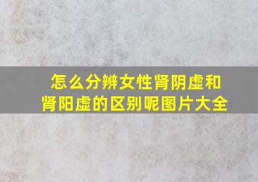 怎么分辨女性肾阴虚和肾阳虚的区别呢图片大全