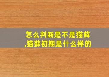 怎么判断是不是猫藓,猫藓初期是什么样的