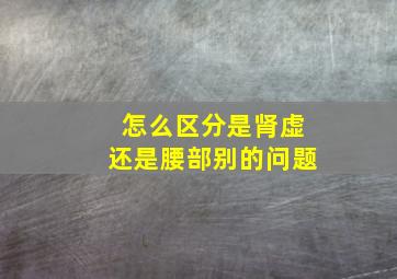 怎么区分是肾虚还是腰部别的问题