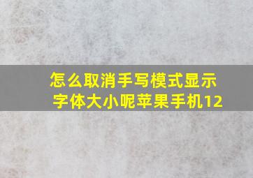 怎么取消手写模式显示字体大小呢苹果手机12