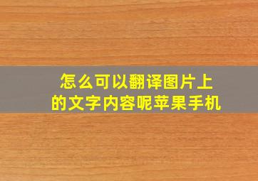 怎么可以翻译图片上的文字内容呢苹果手机