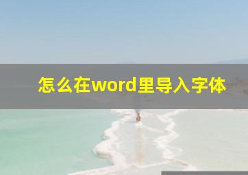 怎么在word里导入字体