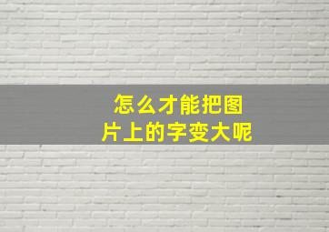 怎么才能把图片上的字变大呢