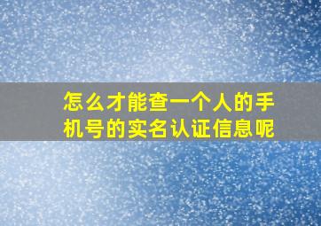 怎么才能查一个人的手机号的实名认证信息呢