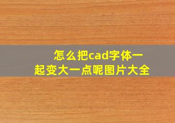 怎么把cad字体一起变大一点呢图片大全