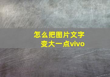 怎么把图片文字变大一点vivo