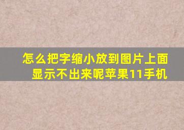 怎么把字缩小放到图片上面显示不出来呢苹果11手机