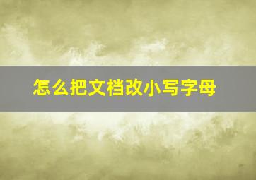 怎么把文档改小写字母