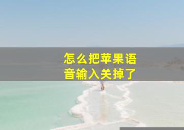 怎么把苹果语音输入关掉了