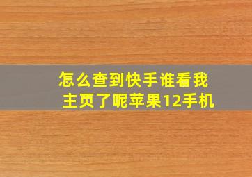 怎么查到快手谁看我主页了呢苹果12手机