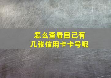 怎么查看自己有几张信用卡卡号呢