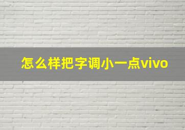 怎么样把字调小一点vivo