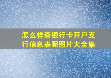 怎么样查银行卡开户支行信息表呢图片大全集