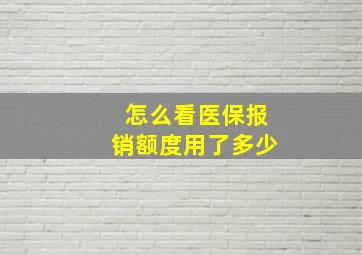 怎么看医保报销额度用了多少