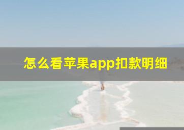 怎么看苹果app扣款明细