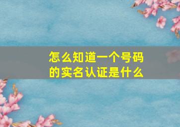 怎么知道一个号码的实名认证是什么