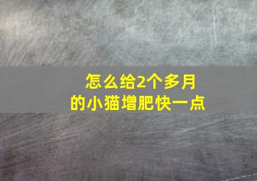 怎么给2个多月的小猫增肥快一点