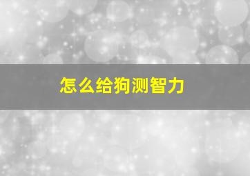 怎么给狗测智力