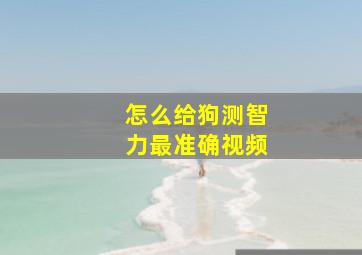 怎么给狗测智力最准确视频