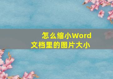 怎么缩小Word文档里的图片大小