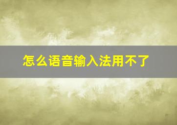 怎么语音输入法用不了