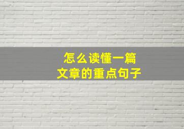 怎么读懂一篇文章的重点句子