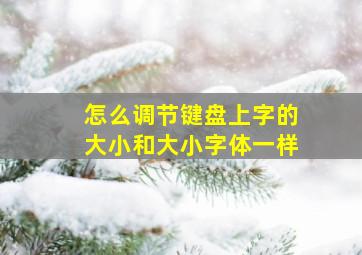 怎么调节键盘上字的大小和大小字体一样