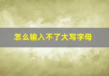 怎么输入不了大写字母