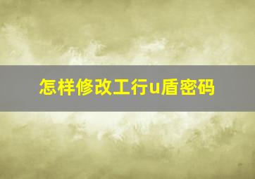 怎样修改工行u盾密码