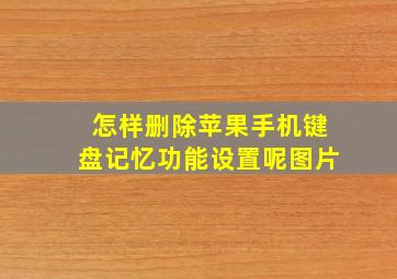 怎样删除苹果手机键盘记忆功能设置呢图片