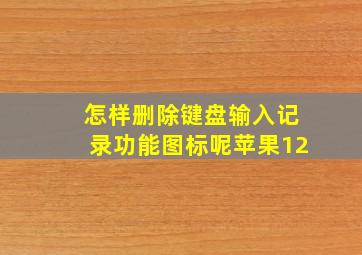 怎样删除键盘输入记录功能图标呢苹果12