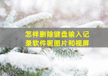 怎样删除键盘输入记录软件呢图片和视屏