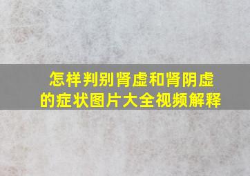 怎样判别肾虚和肾阴虚的症状图片大全视频解释