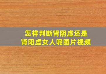 怎样判断肾阴虚还是肾阳虚女人呢图片视频