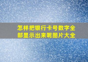 怎样把银行卡号数字全部显示出来呢图片大全