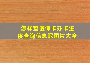 怎样查医保卡办卡进度查询信息呢图片大全