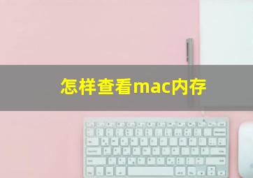 怎样查看mac内存